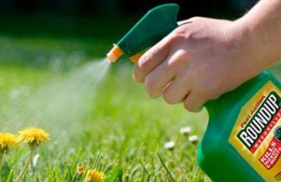 Un judecător din SUA a redus un verdict împotriva Bayer, legat de erbicidul Roundup, de la 1,56 miliarde la 611 milioane de dolari