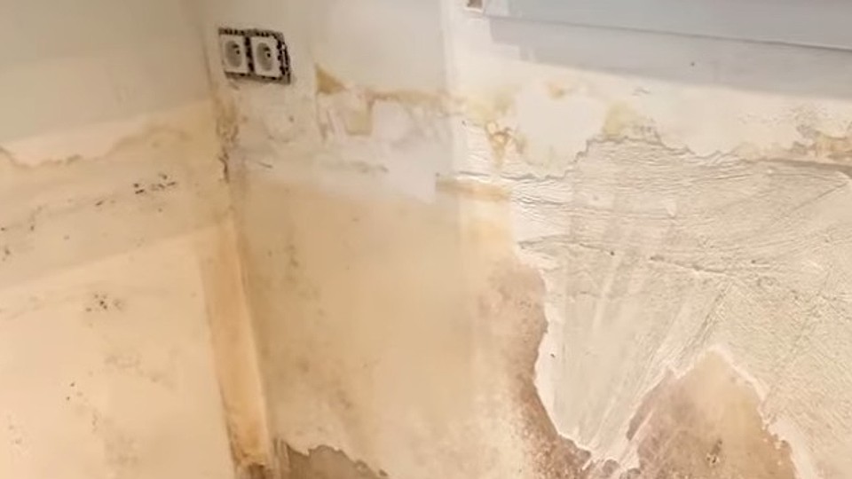 De ce mucegaiul și umiditatea revin iarna în baie, chiar și după ce ai „rezolvat” igrasia