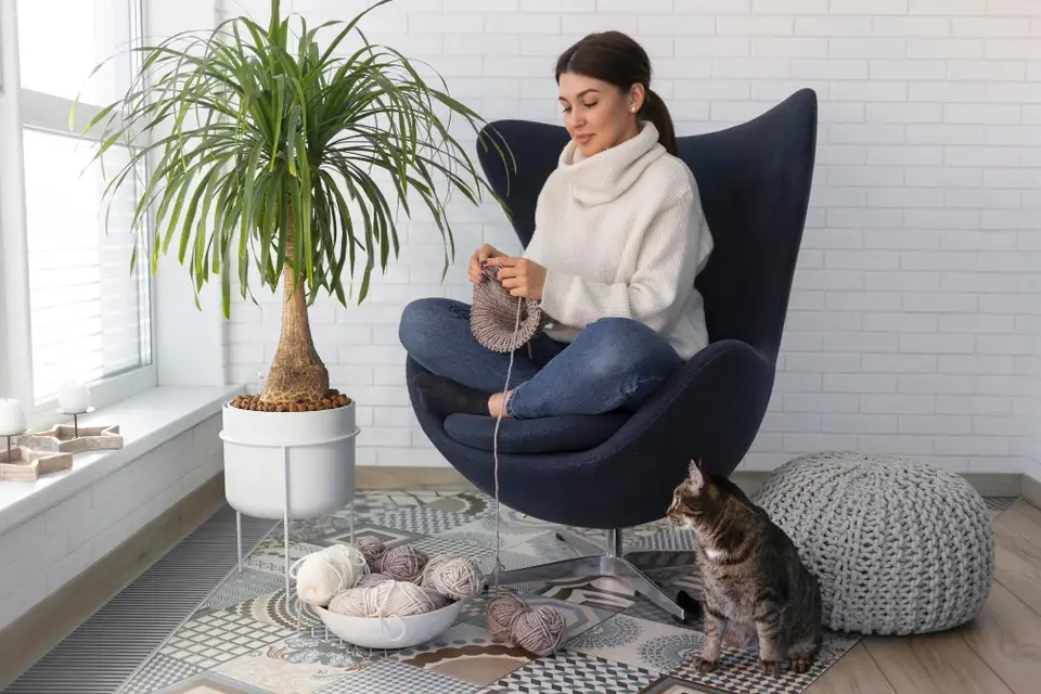 Adapting Your Home for Your Cat's Comfort