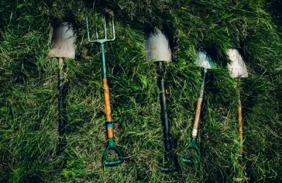 Choosing the Best Gardening Tools