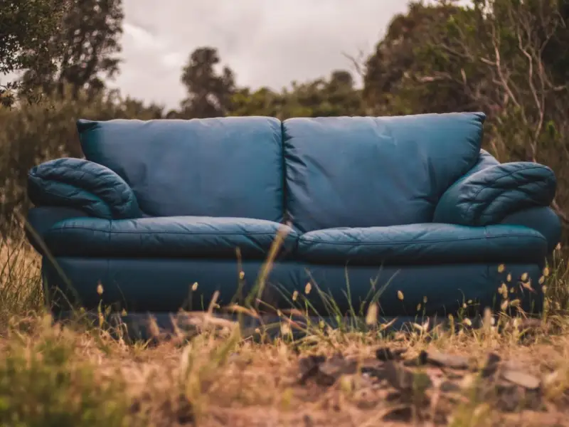 Tipuri de canapele și calitățile lor