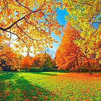 Toamna aduce temperaturi atipice. Prognoza ANM pentru septembrie