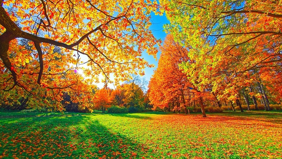 Toamna aduce temperaturi atipice. Prognoza ANM pentru septembrie