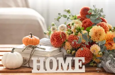 The Importance of a Green Corner in Your Home and Why It Should Be Well-Designed