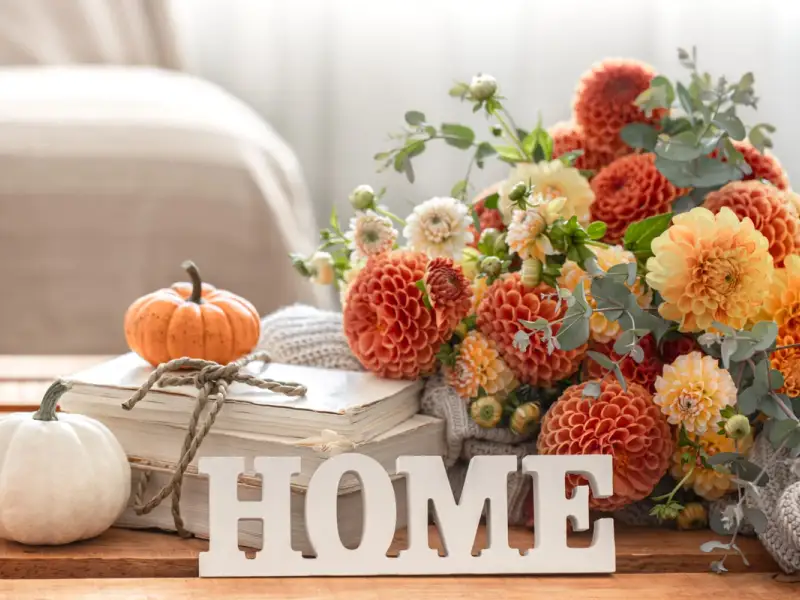 Care este importanta unui colt verde in casa si de ce trebuie bine amenajat