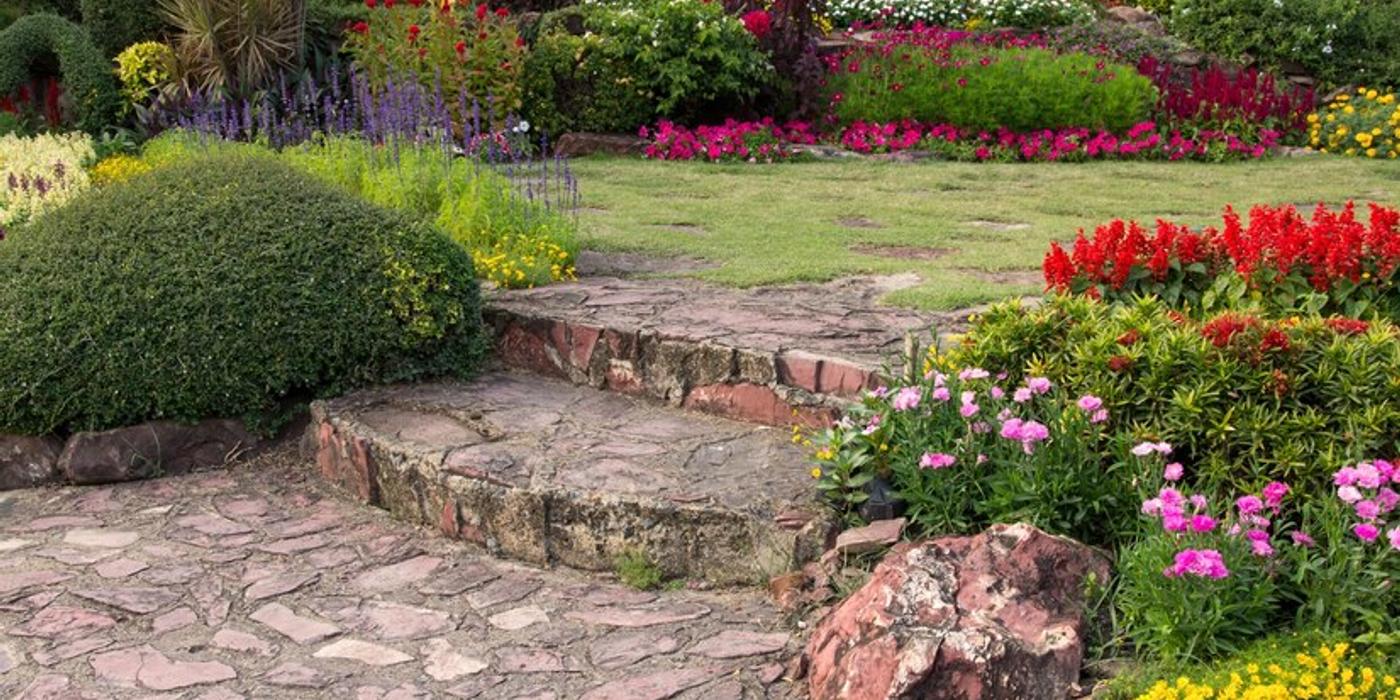 Îngrijirea grădinii fără pesticide: metode naturale de combatere a dăunătorilor