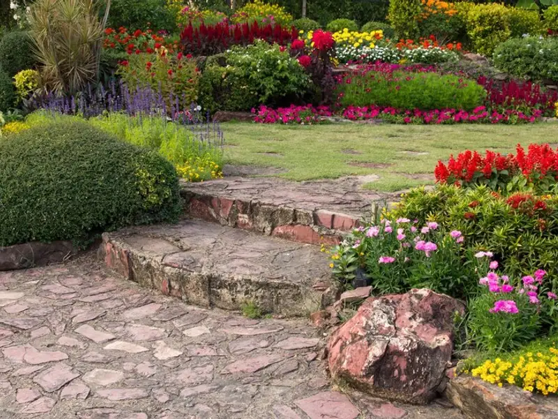 Îngrijirea grădinii fără pesticide: metode naturale de combatere a dăunătorilor