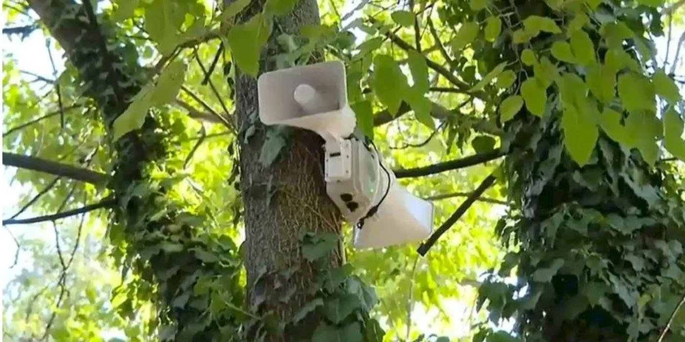 Primăria Municipiului București a instalat sperietori de ciori în Parcul Cișmigiu. Aparatele sperie oamenii, nu ciorile