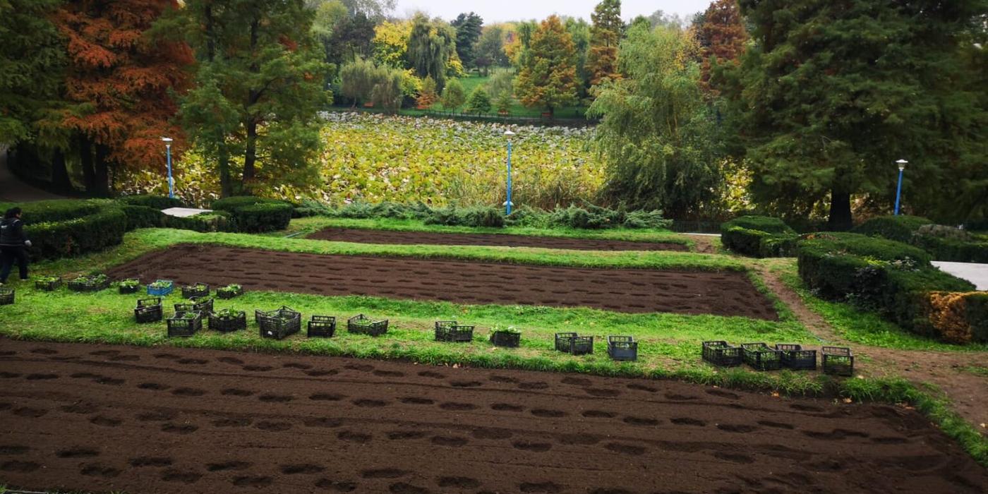 Primăria Capitalei investește într-un București mai verde, a anunțat viceprimarul Horia Tomescu