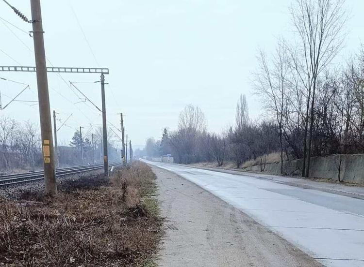 Doi căței au fost schingiuiți pe strada Calea Someșeni din Cluj-Napoca, în prima zi a anului