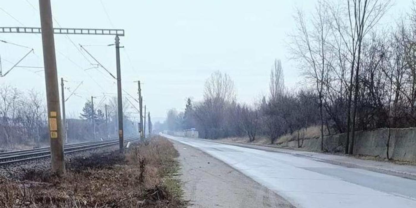 Doi căței au fost schingiuiți pe strada Calea Someșeni din Cluj-Napoca, în prima zi a anului