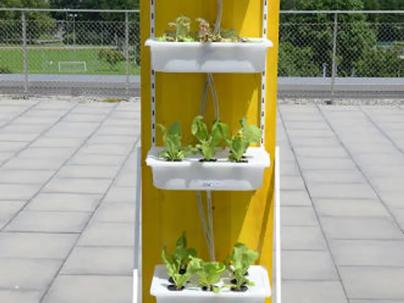 Mini-gradini de apartament construite din piese Ikea