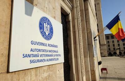 Acțiune de verificare a originii și trasabilității peștelui a ANSVSA în Cluj și alte județe din țară