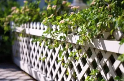 Your Garden Can Be a Corner of Paradise: The Best Tips for Choosing the Right Decorative Elements