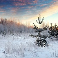 Prognoza meteo, 30 noiembrie. Ultima zi de toamnă aduce un nou val de frig. Lapoviță și ninsoare la munte