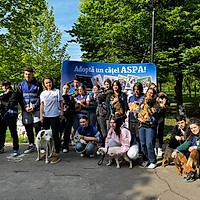 Primul târg de adopții din 2025 pentru câinii din adăposturile ASPA va avea loc sâmbătă, 8 februarie, în incinta magazinului MAXI PET România Mihai Bravu.