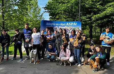 Primul târg de adopții din 2025 pentru câinii din adăposturile ASPA va avea loc sâmbătă, 8 februarie, în incinta magazinului MAXI PET România Mihai Bravu.