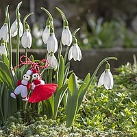 Prognoza meteo, 6 martie. Început de weekend cu temperaturi de primăvară. Condiții de ceață în unele zone