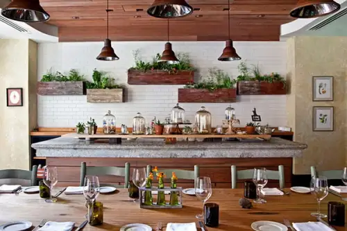 Plante decorative pentru bucatarie