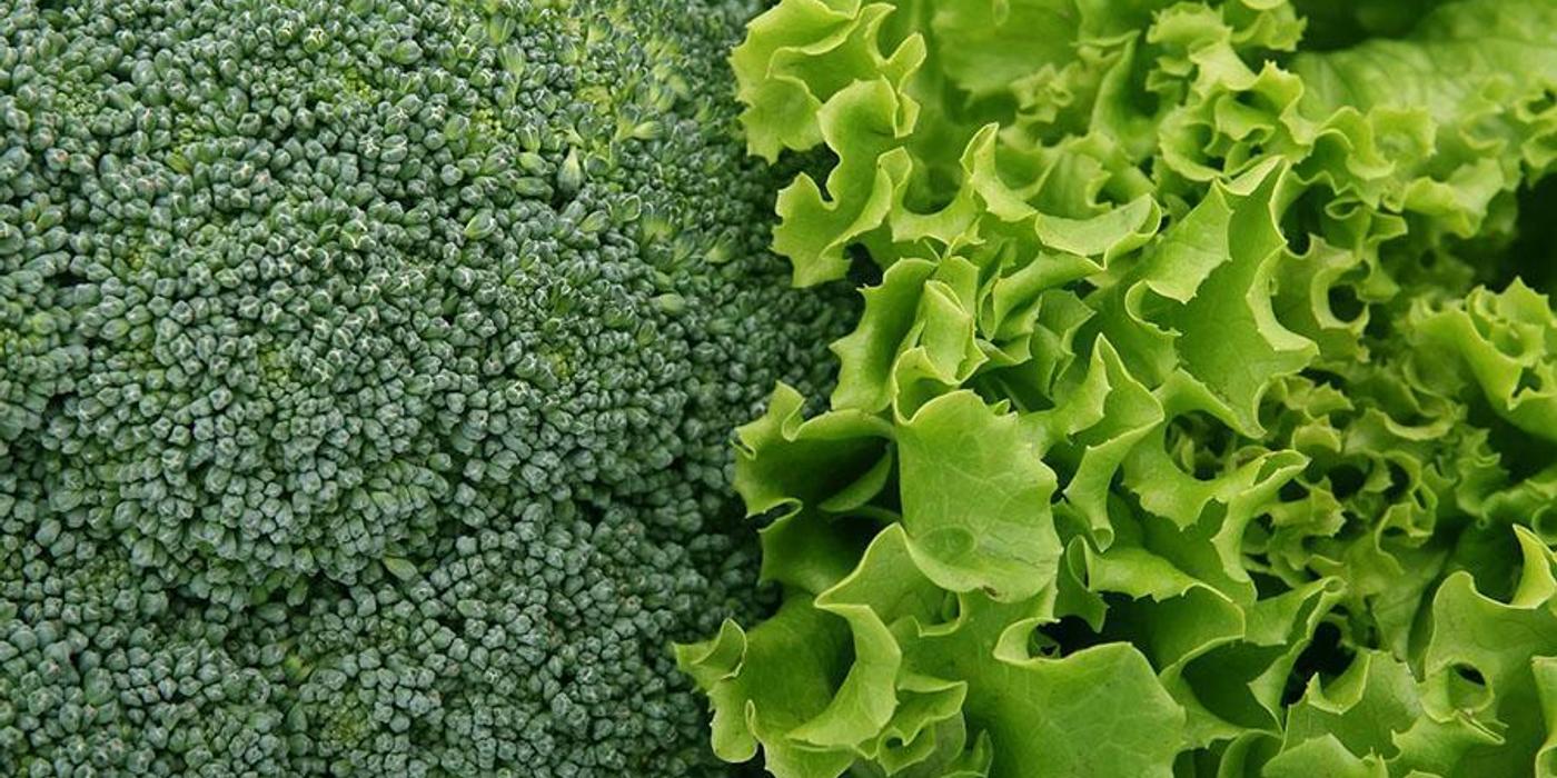 9 Pași simpli pentru a pune capăt rapid inflamației din corpul tău