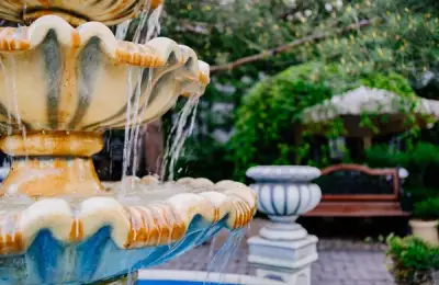 DIY Ideas to Enhance Your Garden's Beauty