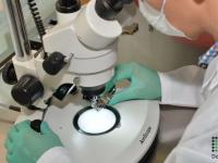 Recuperare date hard disk defect – Ghid complet pentru utilizatori