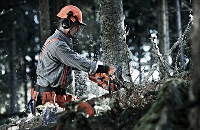 Incepe munca in stil de mare campion: Comanda un demaror drujba performant!