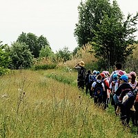 Tur ghidat în Parcul Natural Văcărești, sâmbătă, 30 august
