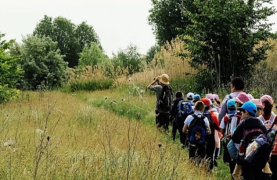 Tur ghidat în Parcul Natural Văcărești, sâmbătă, 30 august