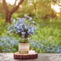 Utilizarea materialelor reciclate și a deșeurilor în design interior: O tendință sustenabilă și creativă