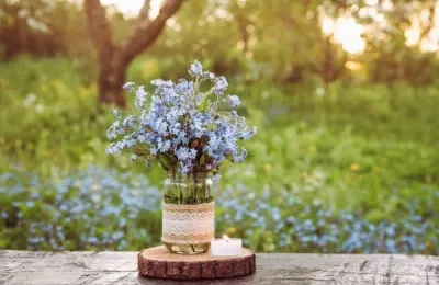 Utilizarea materialelor reciclate și a deșeurilor în design interior: O tendință sustenabilă și creativă