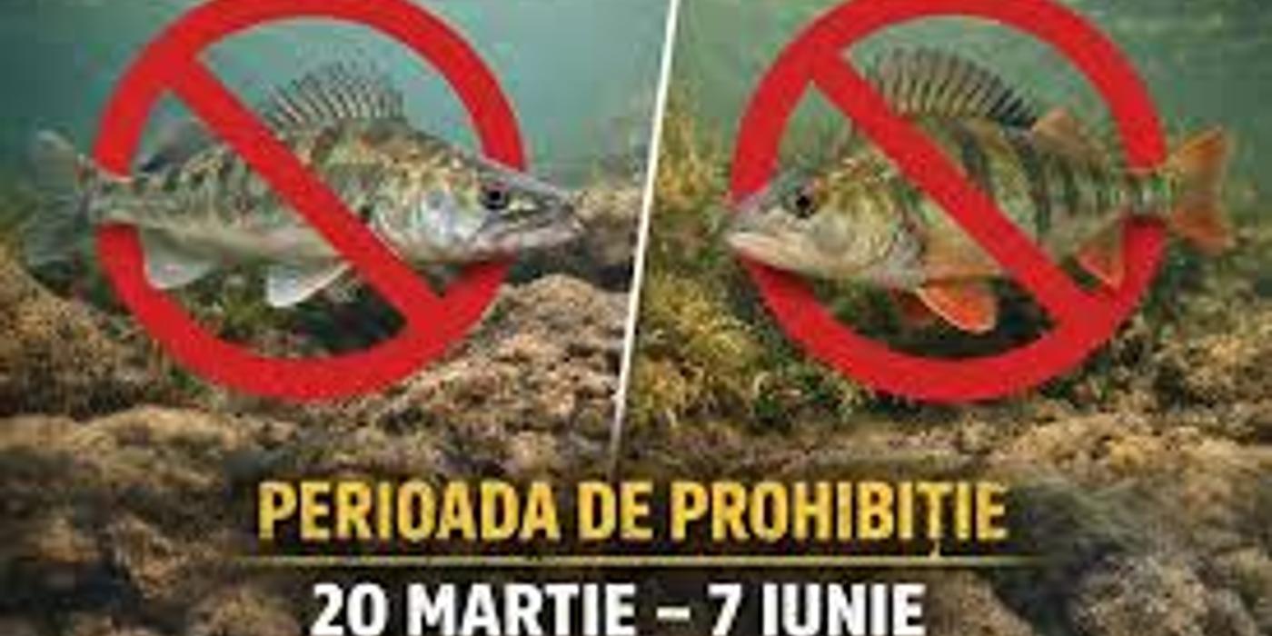 DELTA DUNĂRII: De vineri, 20 martie, pescuitul la șalău și biban este strict interzis