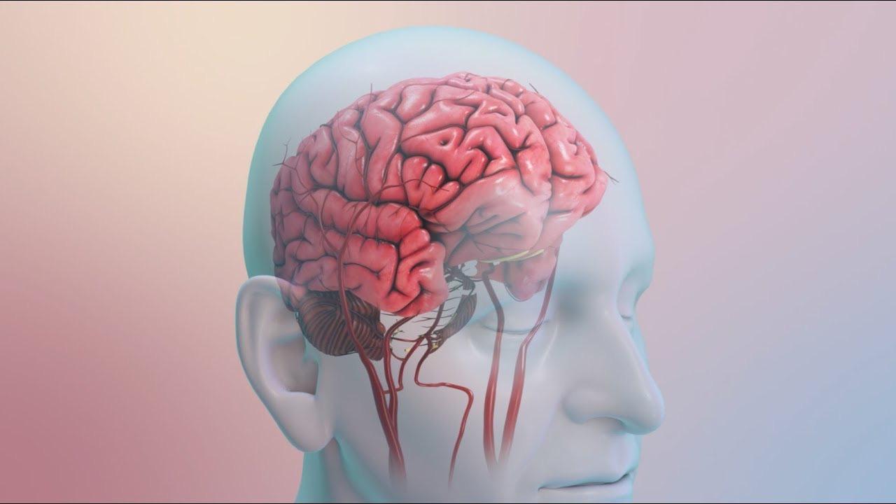 Poți face accident vascular cerebral de la o simplă ceartă? Iată 10 lucruri care țin AVC-urile la distanță