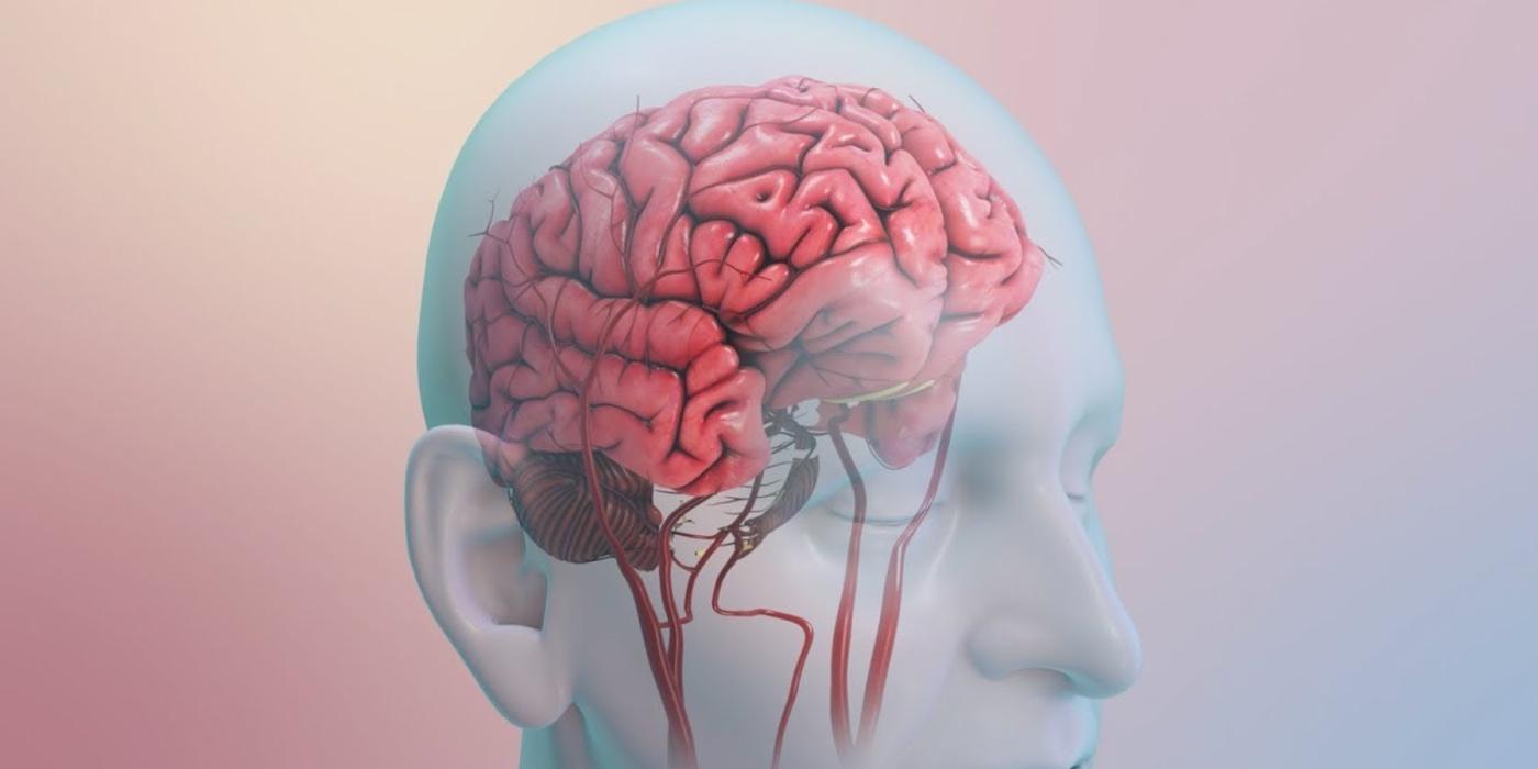 Poți face accident vascular cerebral de la o simplă ceartă? Iată 10 lucruri care țin AVC-urile la distanță