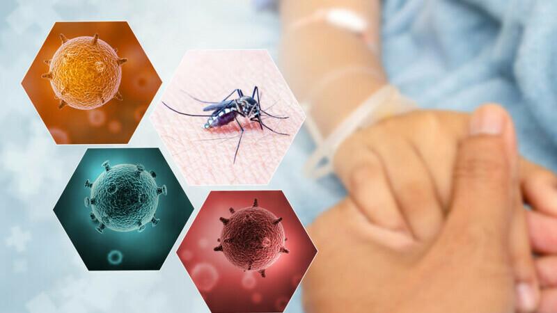 Infecția care se răspândește în Argentina. Sunt deja peste 40 de morți și zeci de mii de persoane infectate