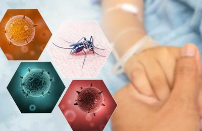 Infecția care se răspândește în Argentina. Sunt deja peste 40 de morți și zeci de mii de persoane infectate