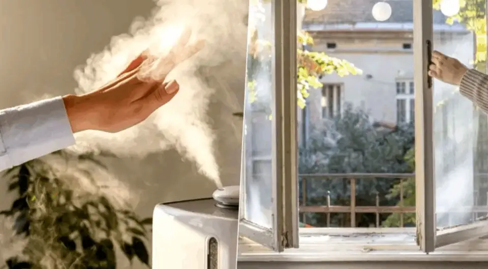 The Air in Your Home Is 5 Times More Polluted Than You Think.