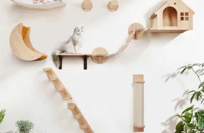 Construirea unui perete de cățărat pentru pisici: Instrucțiuni pas cu pas pentru a crea un spațiu vertical de joacă în interiorul casei.