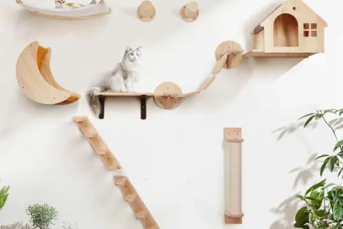 Construirea unui perete de cățărat pentru pisici: Instrucțiuni pas cu pas pentru a crea un spațiu vertical de joacă în interiorul casei.