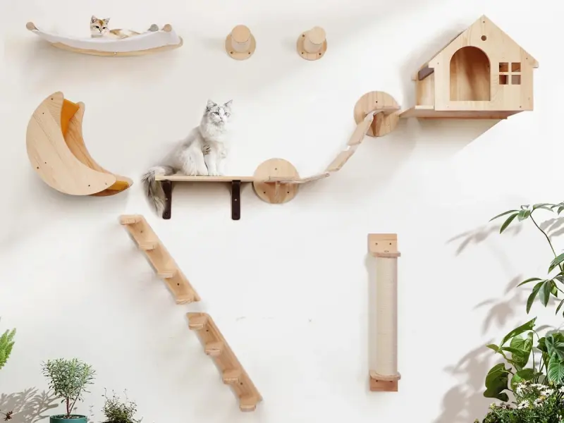 Construirea unui perete de cățărat pentru pisici: Instrucțiuni pas cu pas pentru a crea un spațiu vertical de joacă în interiorul casei.