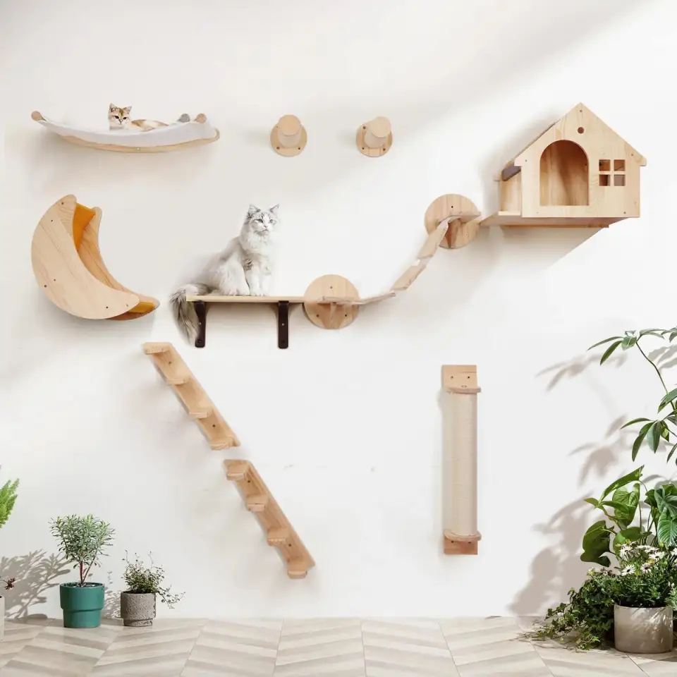 Building a Climbing Wall for Cats: Step-by-Step Instructions for Creating a Vertical Play Space Indoors