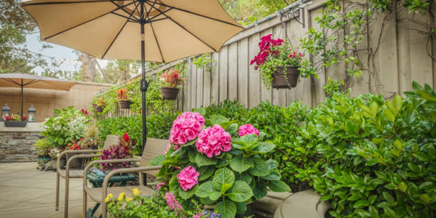 Alegerea celei mai bune umbrele de curte