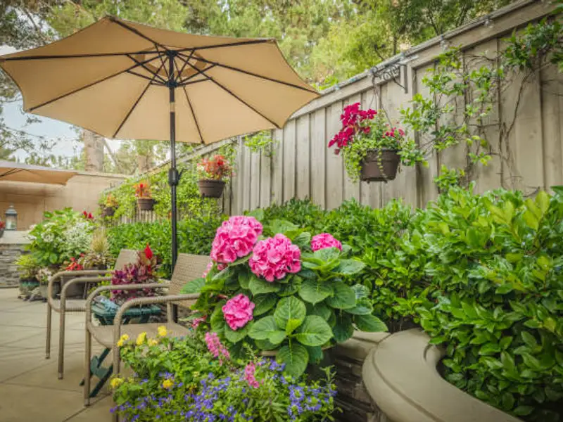 Alegerea celei mai bune umbrele de curte