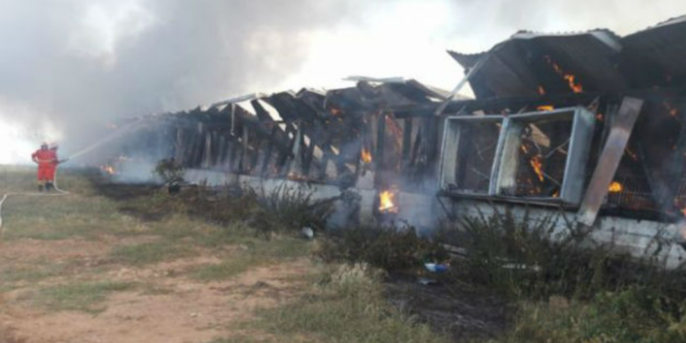 Incendiu, noaptea trecută, la o fermă de porci din Lita, județul Cluj