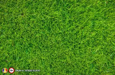 The Complete Guide to Warm Season Lawn Care