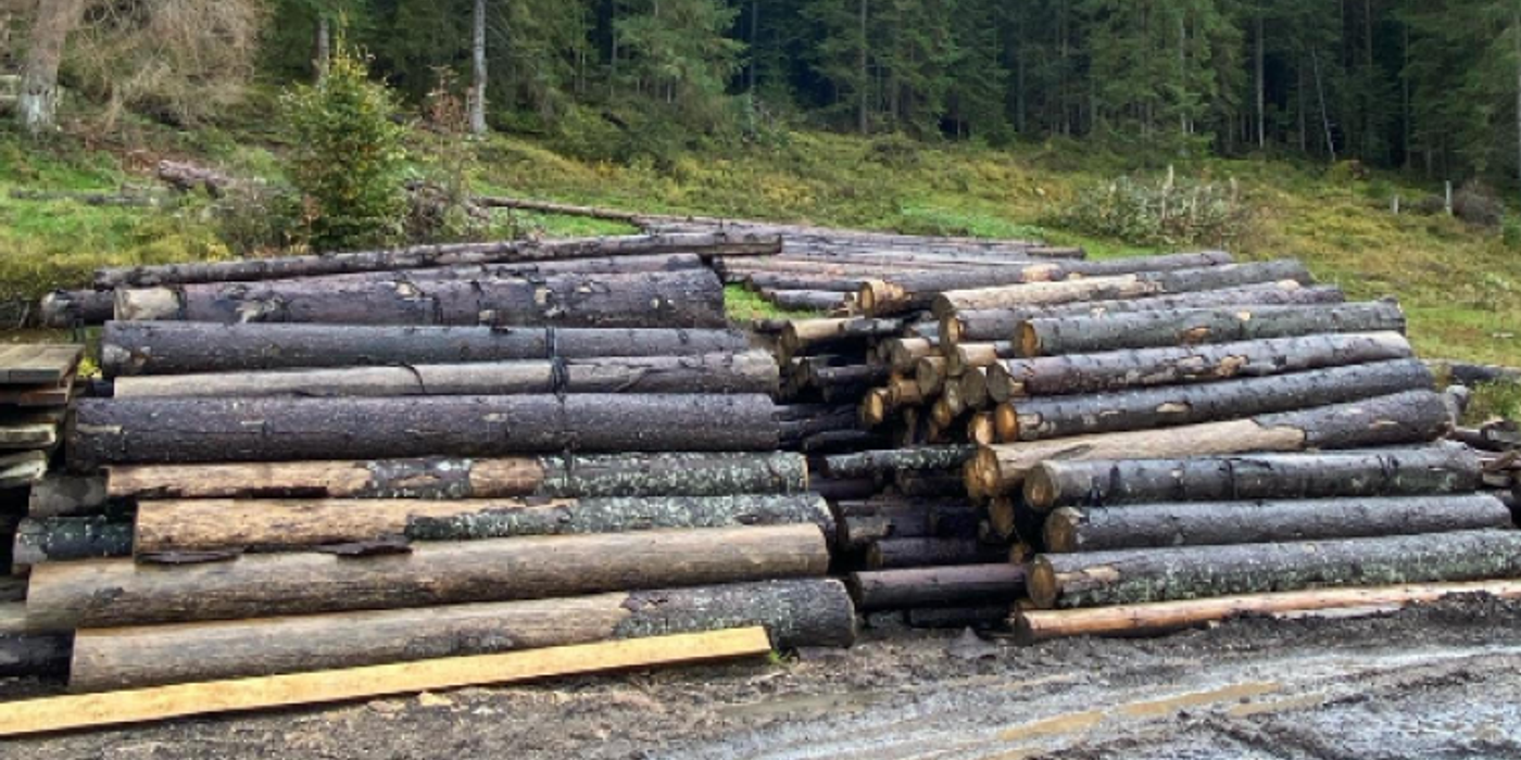 Hoții de lemne, în vizorul polițiștilor clujeni