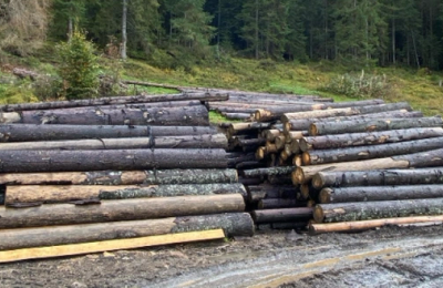 Hoții de lemne, în vizorul polițiștilor clujeni