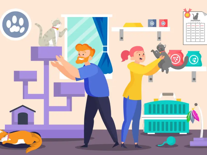 Cum Să-ți Adaptezi Apartamentul pentru a Fi Sigur și Confortabil pentru Pisici