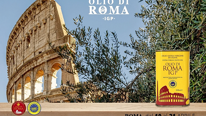 Recoltarea măslinelor la Colosseum: o plantație printre ruinele romane din inima orașului