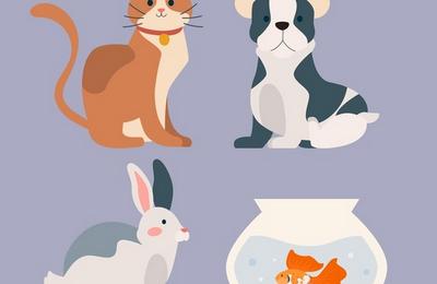 Sfaturi despre o bună nutriţie pentru animăluţele de companie